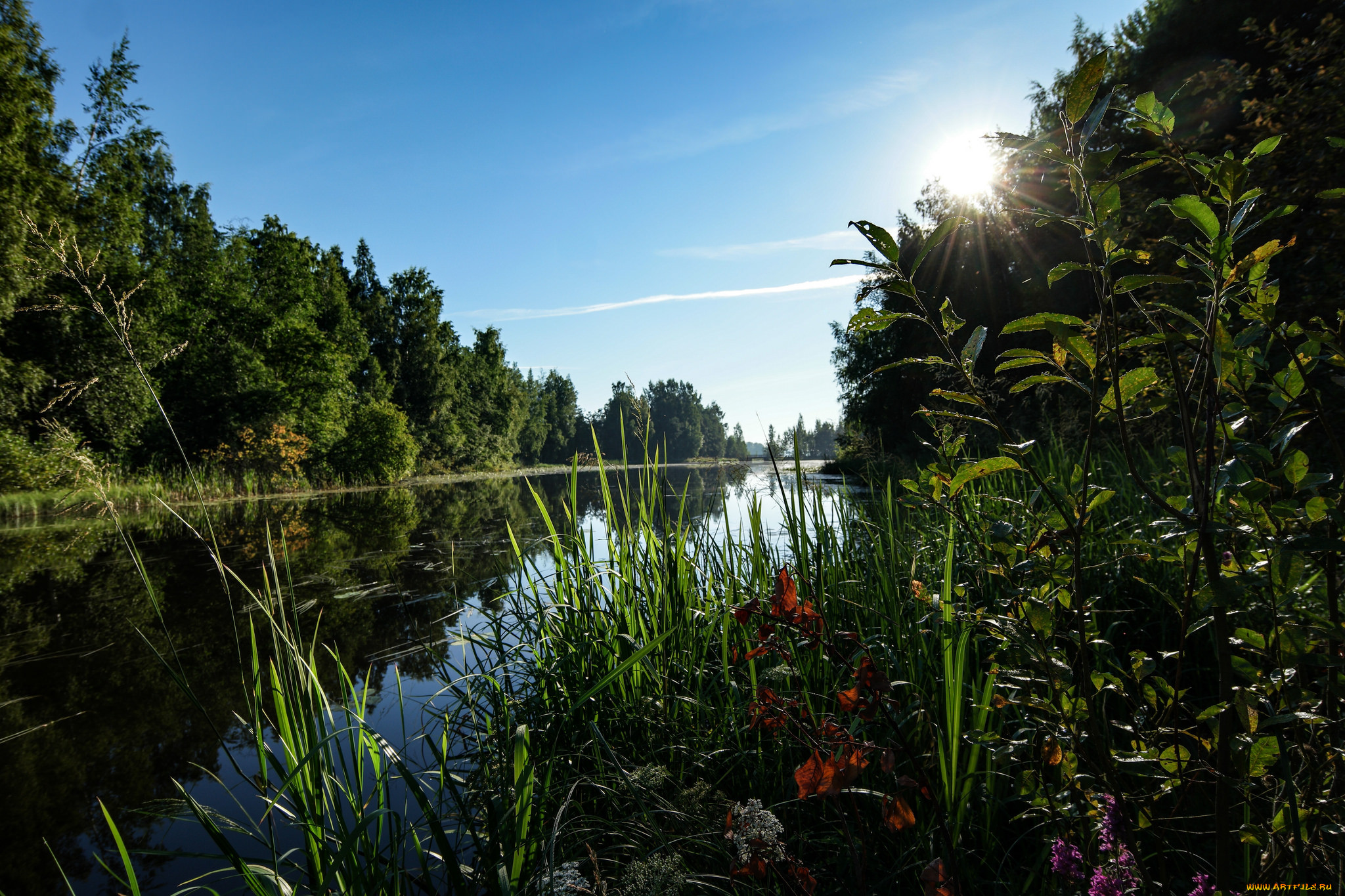 Хорошо гулять по берегу лесного озера. Волшебное озеро Лемболово. Природа река. Природа озеро. Озеро в лесу.